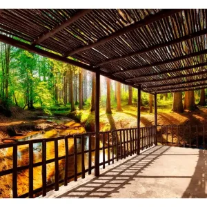Trygg betalning FOTOTAPET Getting Back To Nature 300x210 - Inredning & dekor