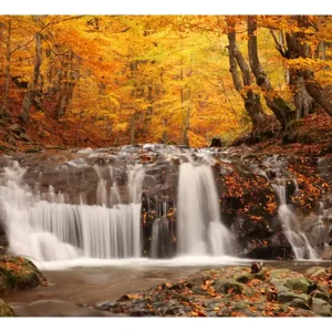 Begränsat antal Fototapet Autumn Landscape Waterfall In Forest 200x154 - Inredning & dekor