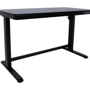Ergosum Skrivbord 120 cm Höj-och Sänkbar Svart - Möbler Endast idag