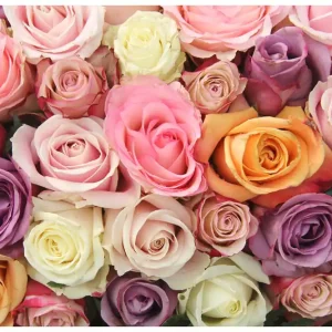 Trygg betalning Fototapet Pastel Roses 300x231 - Inredning & dekor