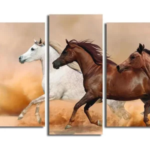 Populärt val Canvastavla Floral 3-pack Flerfärgad 20x39 cm - Inredning