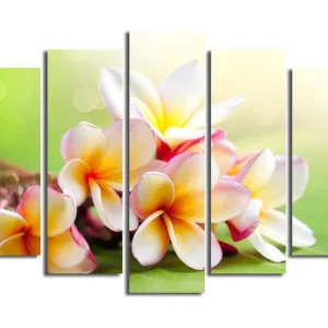 Canvastavla 5-pack Flerfärgad 19x60 cm - Inredning risnedsättning