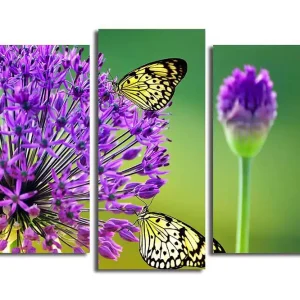 Rea Canvastavla 3-pack Flerfärgad 20x39 cm - Inredning