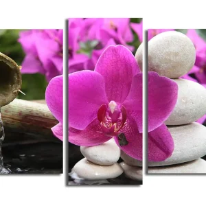 Beställ idag Canvastavla 3-pack Flerfärgad 20x39 cm - Inredning
