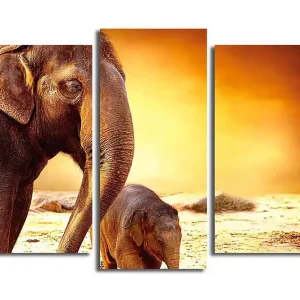 Sänkt pris Canvastavla Animal 3-pack Flerfärgad 20x39 cm - Inredning