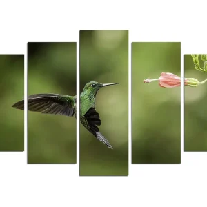 Trygg betalning Canvastavla Animals 5-pack Flerfärgad 20x60 cm - Inredning