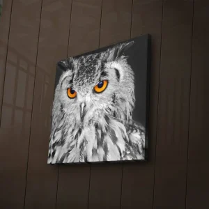 Rabatter Canvastavla med LED-belysning 28x28 cm - Uggla med intensiva orange ögon Svart / Orange - Inredning