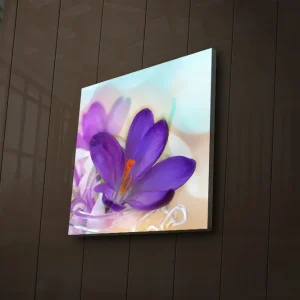 Canvastavla med LED-belysning 40x40 cm - Vacker krokusblomma i lila nyanser Lila / Orange / Grön - Inredning Säker betalning