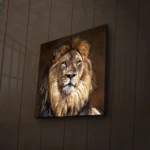 Canvastavla med LED-belysning 40x40 cm - Majestätisk lejonhuvud med detaljerad man och uttrycksfulla ögon Guld / Brun / Beige - Inredning Kampanjpris