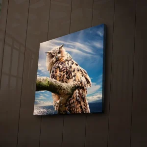 Beställ nu Canvastavla med LED-belysning 40x40 cm - Uggla på en gren med dramatisk himmel i bakgrunden Brun / Blå / Vit - Inredning