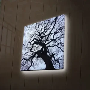 Begränsad tid Canvastavla med LED-belysning 28x28 cm - Silhuett av ett träd mot en ljus bakgrund Svart / Blå / Vit - Inredning