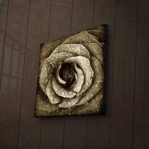 Canvastavla med LED-belysning 40x40 cm - Vacker ros med droppar av vatten Beige / Brun / Grå - Inredning Expressleverans