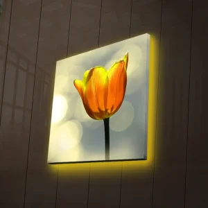 Canvastavla med LED-belysning 28x28 cm - Vacker tulpan i stark orange färg Orange / Grön / Svart - Inredning Sänkt pris