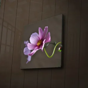 Rabatt Canvastavla med LED-belysning 40x40 cm - Rosa blommor med grön stjälk Rosa / Grön - Inredning