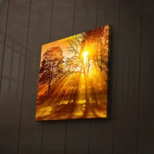 Canvastavla med LED-belysning 40x40 cm - Gyllene höstlandskap med solstrålar som strålar genom träden Guld / Orange / Brun - Inredning Erbjudande