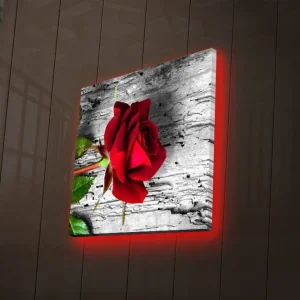 Canvastavla med LED-belysning 28x28 cm - Röd ros mot en grå träbakgrund Röd / Grå / Grön - Inredning Begränsat erbjudande