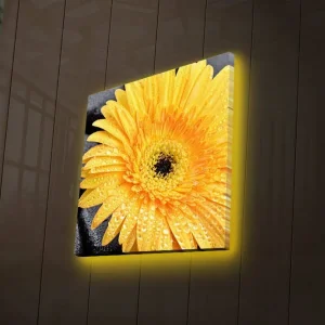 Canvastavla med LED-belysning 28x28 cm - Storslagen gul gerbera med droppar av vatten Gul / Svart - Inredning Nedsatt pris