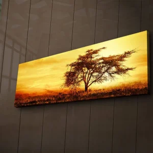 Canvastavla med LED-belysning 30x90 cm - Ensam akaciaträd mot en gyllene solnedgång Guld / Brun / Orange - Inredning Rea