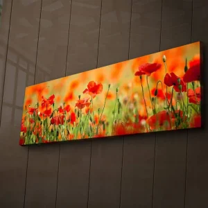 Canvastavla med LED-belysning 30x90 cm - Fält av röda vallmo-blommor i en grönskande omgivning Röd / Grön / Orange - Inredning Sista chansen