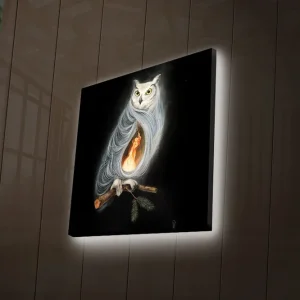 Canvastavla med LED-belysning 28x28 cm - Uggla med en eld inuti kroppen Svart / Vit / Orange - Inredning Snabb leverans