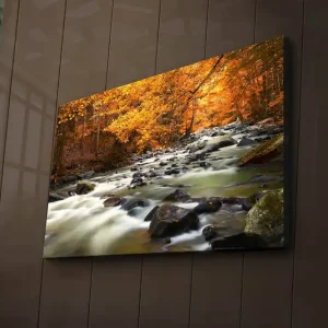 Canvastavla med LED-belysning 45x70 cm - Flödande vatten omgiven av höstfärgad skog Orange / Grön / Svart - Inredning Begränsat antal