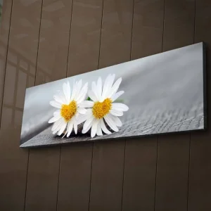 Canvastavla med LED-belysning 30x90 cm - Två vita prästkragar med gula mittar Vit / Gul - Inredning Kampanj
