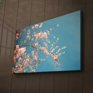 Canvastavla med LED-belysning 45x70 cm - Blommande körsbärsgrenar mot en klar blå himmel Rosa / Blå - Inredning Nedsatt pris