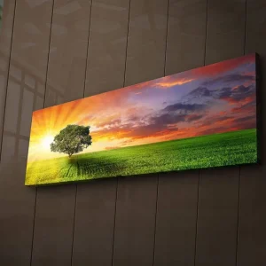 Rea Canvastavla med LED-belysning 30x90 cm - Soluppgång över en grön äng med ett ensamt träd Grön / Orange / Blå - Inredning