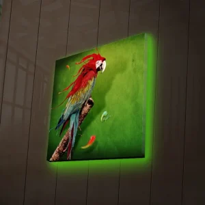 Säker betalning Canvastavla med LED-belysning 40x40 cm - Färgglad papegoja på en grön bakgrund Grön / Röd / Blå - Inredning