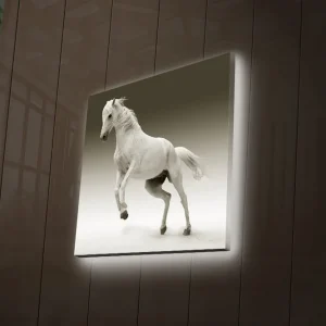 Billigare Canvastavla med LED-belysning 40x40 cm - Vit häst i rörelse Vit / Grå - Inredning