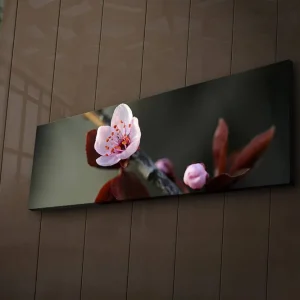 Canvastavla med LED-belysning 30x90 cm - Vacker blomma med rosa kronblad och mörkgröna blad Rosa / Mörkgrön - Inredning Säker betalning