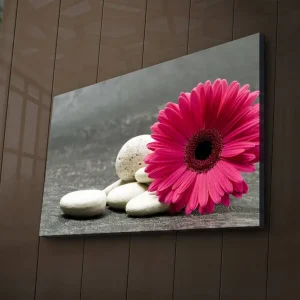 Kundfavorit Canvastavla med LED-belysning 45x70 cm - Rosa blomma med vita stenar Rosa / Vit / Grå - Inredning