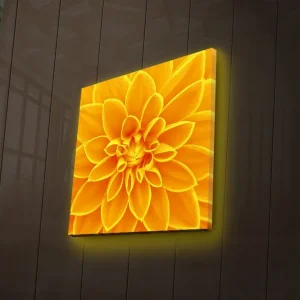 Endast denna vecka Canvastavla med LED-belysning 40x40 cm - Storslagen blomma i gult Gult / Orange - Inredning