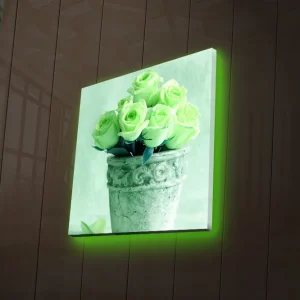 Extra rabatt Canvastavla med LED-belysning 40x40 cm - Grönskande rosor i en kruka Ljusgrön / Grå / Svart - Inredning