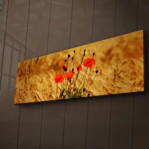 Canvastavla med LED-belysning 30x90 cm - Röd vallmo i gyllene fält Röd / Guldbrun - Inredning Populärt val