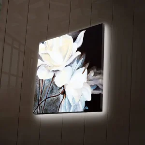 Canvastavla med LED-belysning 40x40 cm - Vita blommor mot en mörk bakgrund Vit / Svart / Grå - Inredning Fri frakt