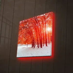 Expressleverans Canvastavla med LED-belysning 40x40 cm - Vacker skog med glödande höstlöv Röd / Vit - Inredning