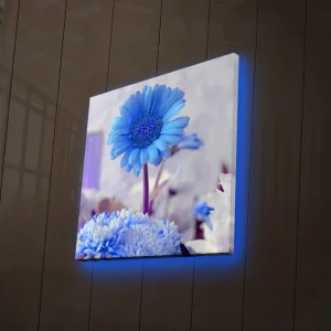 Beställ nu Canvastavla med LED-belysning 40x40 cm - Blommor i olika nyanser av blått Blå / Vit - Inredning