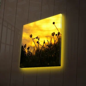 Begränsat antal Canvastavla med LED-belysning 40x40 cm - Silhuett av blommor mot en gyllene solnedgång Guld / Svart - Inredning