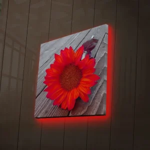 Premium Canvastavla med LED-belysning 40x40 cm - Solros med intensiva röda och orangea blad Röd / Orange - Inredning