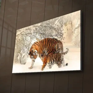 Canvastavla med LED-belysning 45x70 cm - Tigrar som leker i snön Orange / Vit / Svart - Inredning Beställ idag
