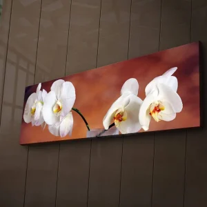 Expressleverans Canvastavla med LED-belysning 30x90 cm - Vackra vita orkidéer i en harmonisk komposition Vit / Beige / Gul - Inredning