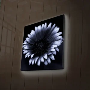 Begränsat erbjudande Canvastavla med LED-belysning 40x40 cm - Svartvit blomma med detaljerade kronblad Svart / Vitt - Inredning