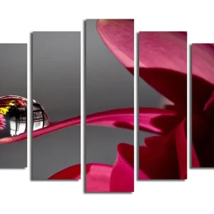 Kampanj Stor Canvastavla i 5 delar 105x70 cm - Droppar på en blomma med reflektioner av omgivningen Mörkröd / Rosa / Klar (transparent) - Inredning