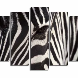 Köp nu Stor Canvastavla i 5 delar 105x70 cm - Närbild av en zebra med tydliga svartvita ränder Svart / Vit - Inredning