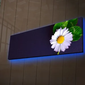 Canvastavla med LED-belysning 30x90 cm - Vacker prästkrage med gröna blad på en mörk bakgrund Vit / Grön / Mörkblå - Inredning Bästa pris