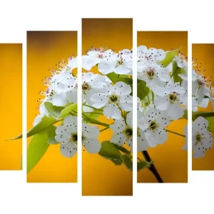 Stor Canvastavla i 5 delar 105x70 cm - Vacker bukett av vita blommor mot en varm gul bakgrund Vit / Gul - Inredning Begränsat erbjudande