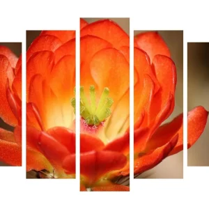 Billigare Stor Canvastavla i 5 delar 105x70 cm - Färgglad blomma med djup orangea och röda nyanser Orange / Grön - Inredning
