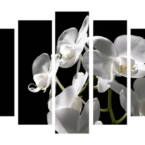 Stor Canvastavla i 5 delar 105x70 cm - Vit orkidé med eleganta blommor Vit / Grön - Inredning Lågt pris