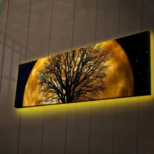 Sista chansen Canvastavla med LED-belysning 30x90 cm - Stämningsfullt motiv av en måne bakom ett silhuett av ett träd Guld / Svart - Inredning